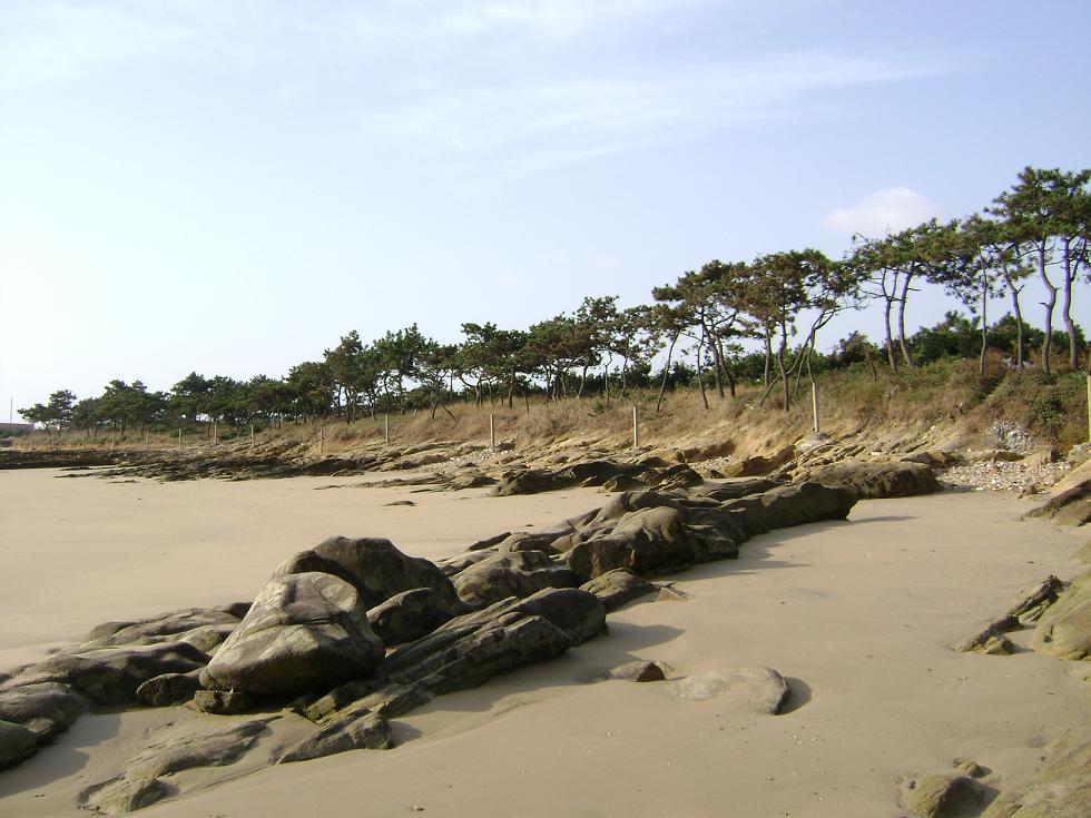 [原创]FB——边行边摄“蓝天、碧海、金沙滩”之——日照归来！