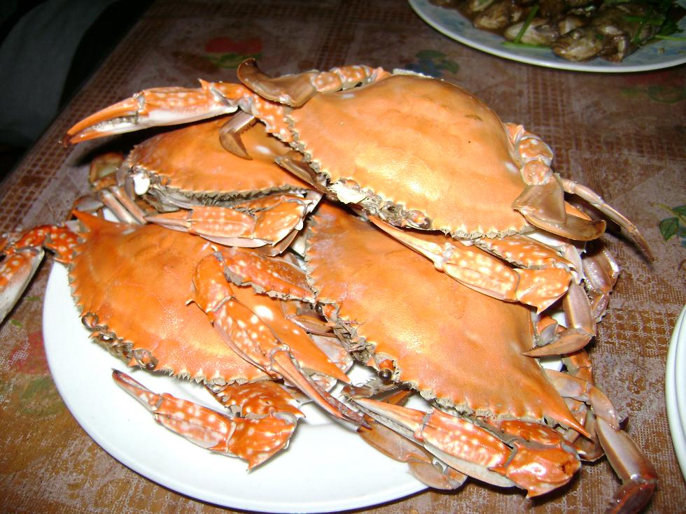 [原创]FB——边行边摄“蓝天、碧海、金沙滩”之——日照归来！