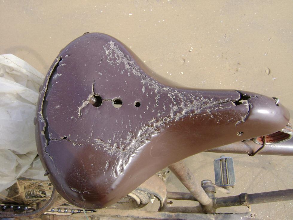 [原创]FB——边行边摄“蓝天、碧海、金沙滩”之——日照归来！