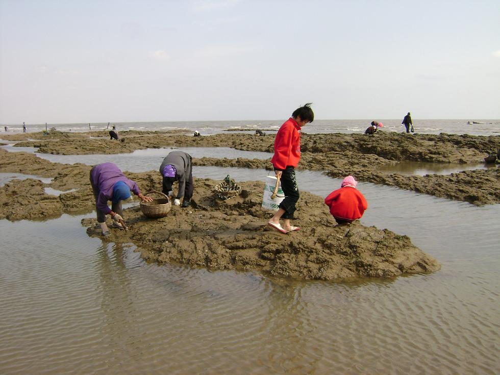 [原创]FB——边行边摄“蓝天、碧海、金沙滩”之——日照归来！