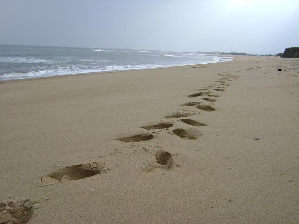 [原创]FB——边行边摄“蓝天、碧海、金沙滩”之——日照归来！