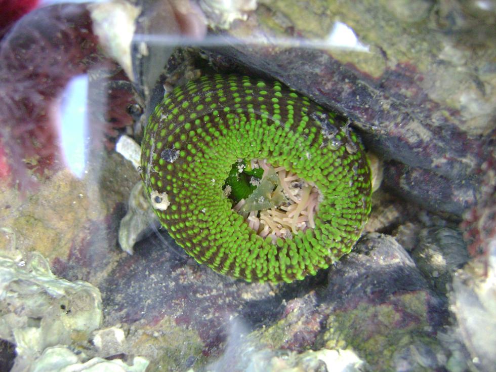 [原创]FB——边行边摄“蓝天、碧海、金沙滩”之——日照归来！