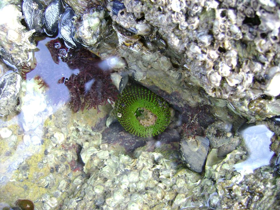 [原创]FB——边行边摄“蓝天、碧海、金沙滩”之——日照归来！