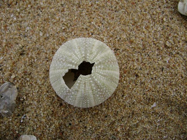 [原创]FB——10月31-11月2号，边行边摄“蓝天、碧海、金沙滩”之——日照归来！