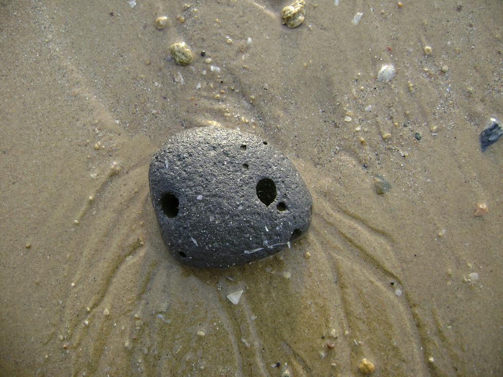 [原创]FB——10月31-11月2号，边行边摄“蓝天、碧海、金沙滩”之——日照归来！