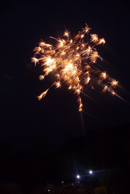 烧烤活动侧面摄影片片