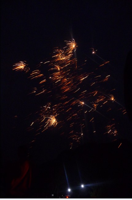 烧烤活动侧面摄影片片