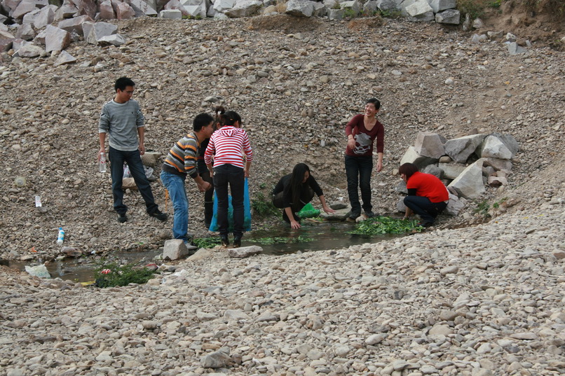 天台之窗/驴友俱乐部联合大型交友烧烤活动老树版PP