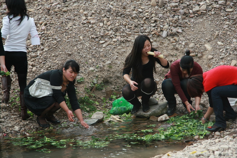 天台之窗/驴友俱乐部联合大型交友烧烤活动老树版PP
