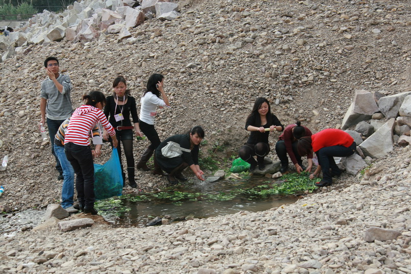 天台之窗/驴友俱乐部联合大型交友烧烤活动老树版PP