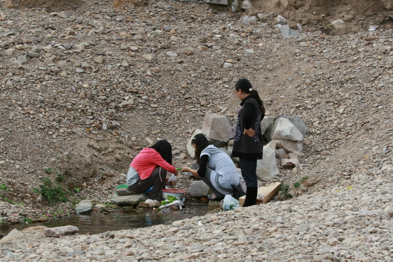天台之窗/驴友俱乐部联合大型交友烧烤活动老树版PP