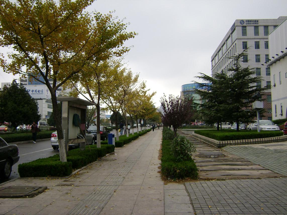 [原创]FB——10月31-11月2号，边行边摄“蓝天、碧海、金沙滩”之——日照归来！