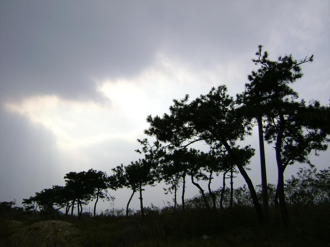 [原创]FB——10月31-11月2号，边行边摄“蓝天、碧海、金沙滩”之——日照归来！