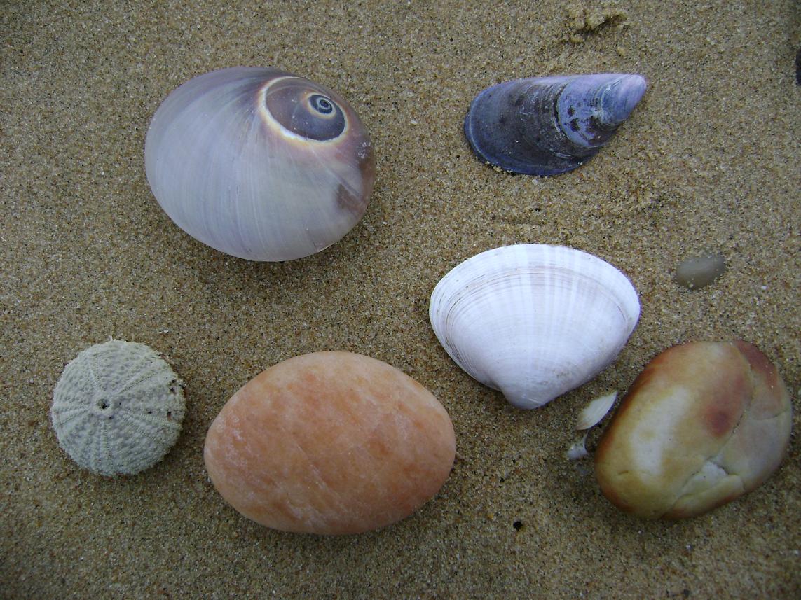 [原创]FB——10月31-11月2号，边行边摄“蓝天、碧海、金沙滩”之——日照归来！