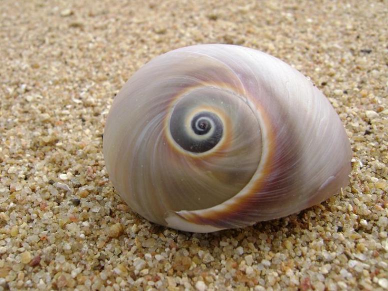 [原创]FB——10月31-11月2号，边行边摄“蓝天、碧海、金沙滩”之——日照归来！