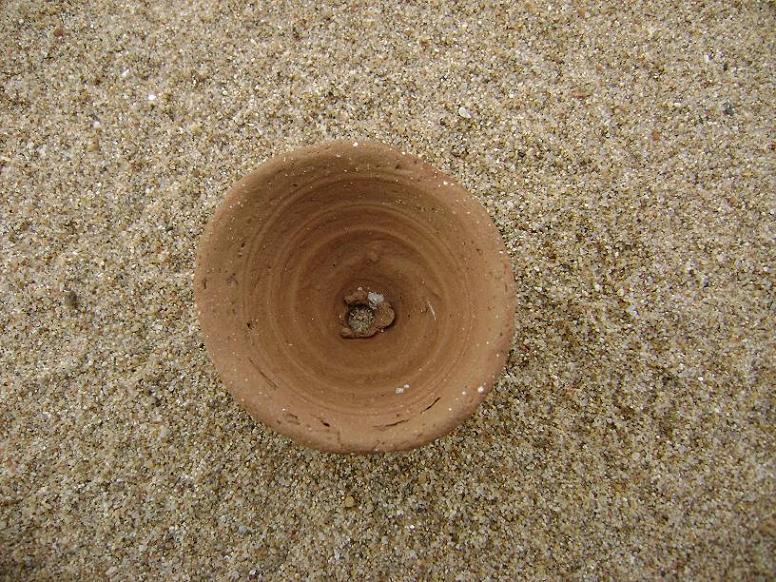 [原创]FB——10月31-11月2号，边行边摄“蓝天、碧海、金沙滩”之——日照归来！