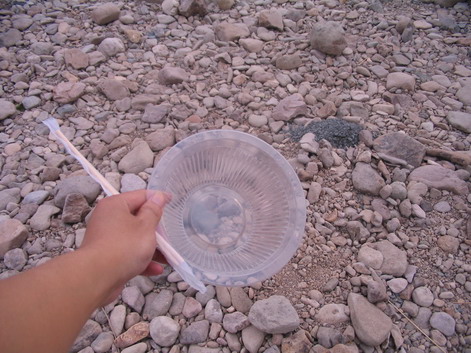 烧烤水水组潜动力所拍照片 烧烤水水组潜动力所拍照片