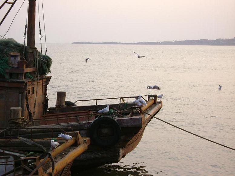 [原创]FB——10月31-11月2号，边行边摄“蓝天、碧海、金沙滩”之——日照归来！