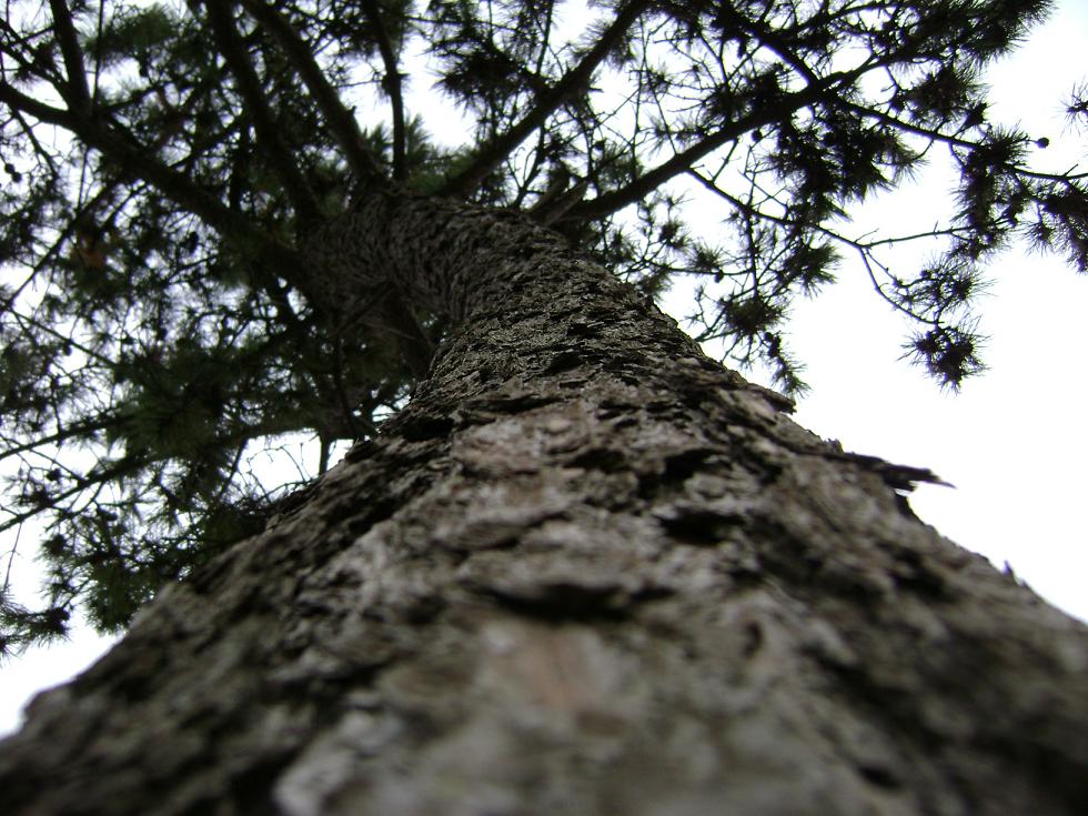 [原创]FB——10月31-11月2号，边行边摄“蓝天、碧海、金沙滩”之——日照归来！