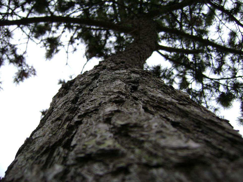 [原创]FB——10月31-11月2号，边行边摄“蓝天、碧海、金沙滩”之——日照归来！