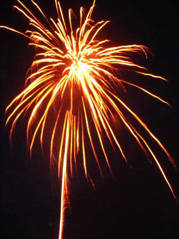 烧烤水水组潜动力所拍照片 烧烤水水组潜动力所拍照片