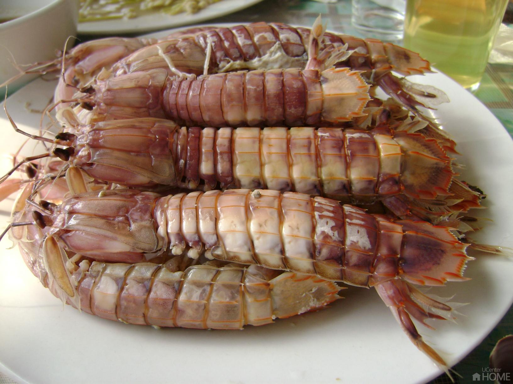 [原创]FB——10月31-11月2号，边行边摄“蓝天、碧海、金沙滩”之——日照归来！