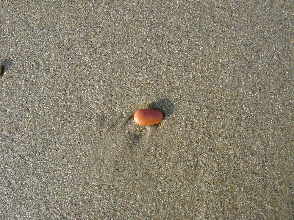 [原创]FB——10月31-11月2号，边行边摄“蓝天、碧海、金沙滩”之——日照归来！