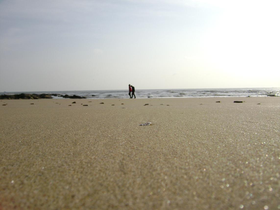 [原创]FB——10月31-11月2号，边行边摄“蓝天、碧海、金沙滩”之——日照归来！