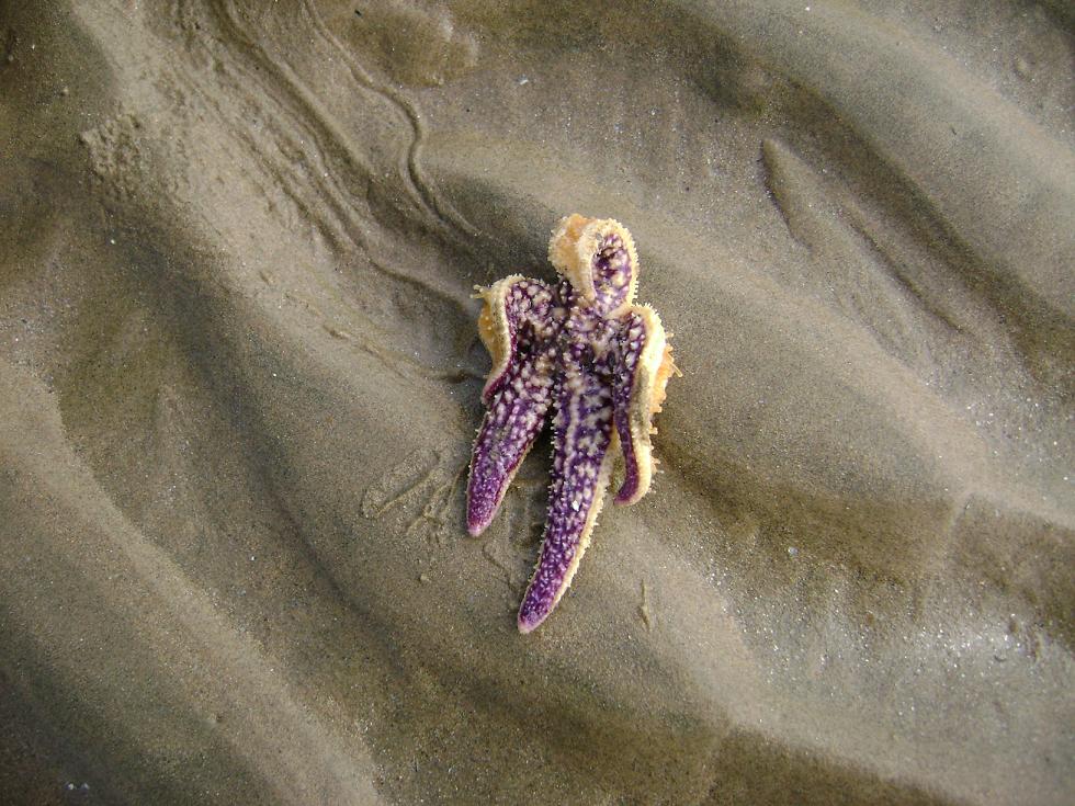 [原创]FB——10月31-11月2号，边行边摄“蓝天、碧海、金沙滩”之——日照归来！