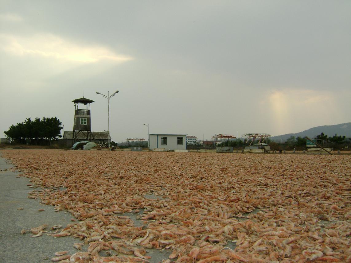 [原创]FB——10月31-11月2号，边行边摄“蓝天、碧海、金沙滩”之——日照归来！