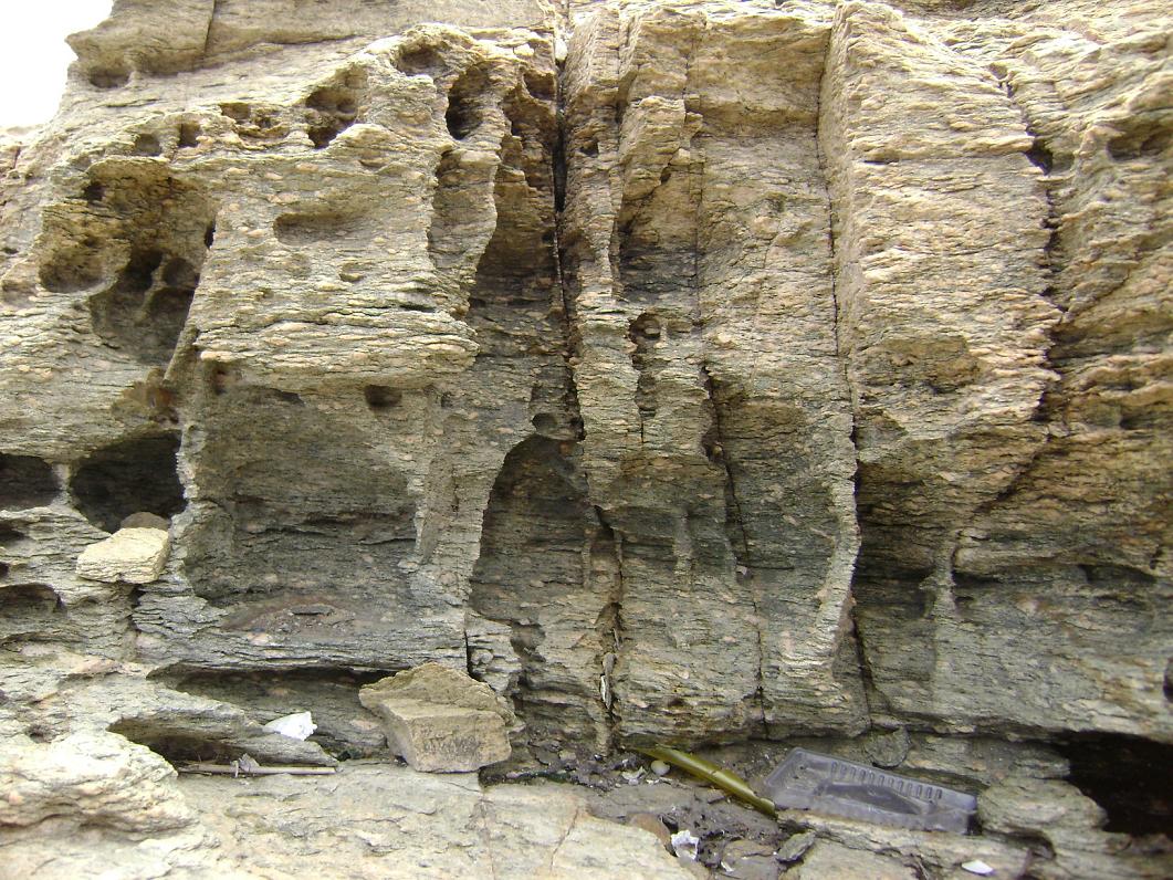 [原创]FB——10月31-11月2号，边行边摄“蓝天、碧海、金沙滩”之——日照归来！