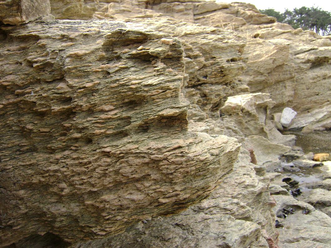 [原创]FB——10月31-11月2号，边行边摄“蓝天、碧海、金沙滩”之——日照归来！