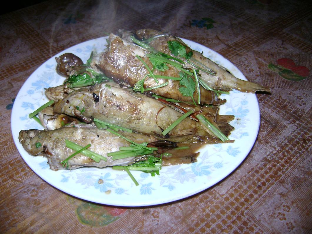 [原创]FB——10月31-11月2号，边行边摄“蓝天、碧海、金沙滩”之——日照归来！