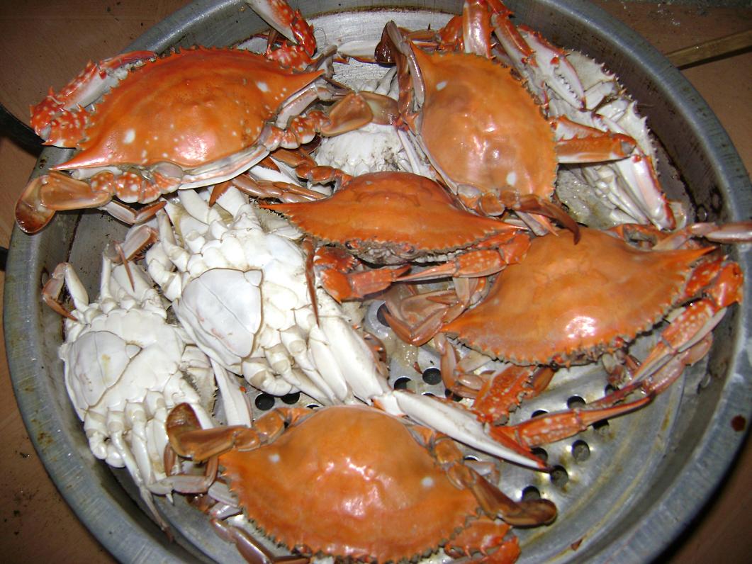 [原创]FB——10月31-11月2号，边行边摄“蓝天、碧海、金沙滩”之——日照归来！