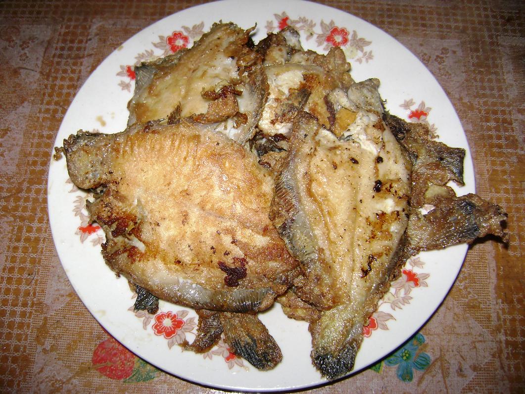 [原创]FB——10月31-11月2号，边行边摄“蓝天、碧海、金沙滩”之——日照归来！