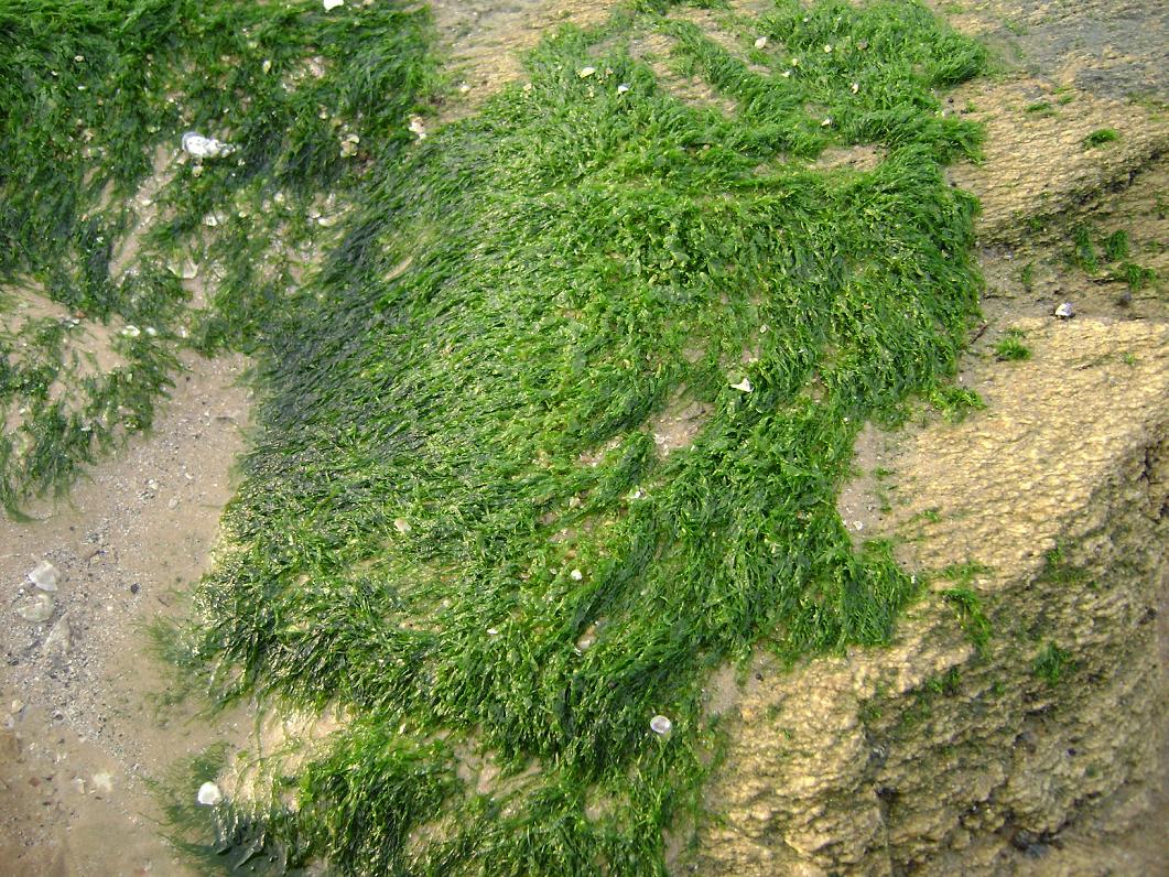 [原创]FB——10月31-11月2号，边行边摄“蓝天、碧海、金沙滩”之——日照归来！