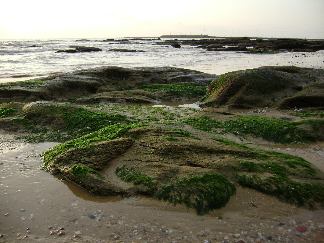 [原创]FB——10月31-11月2号，边行边摄“蓝天、碧海、金沙滩”之——日照归来！