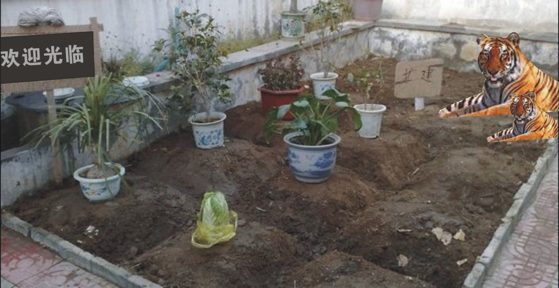 我的农场，免费看大家看下。。