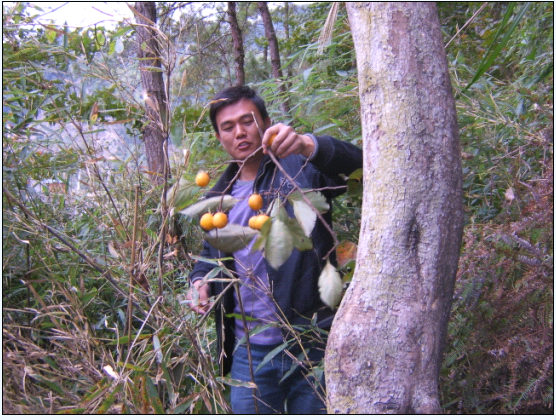 驴行天下吃农家乐爆光