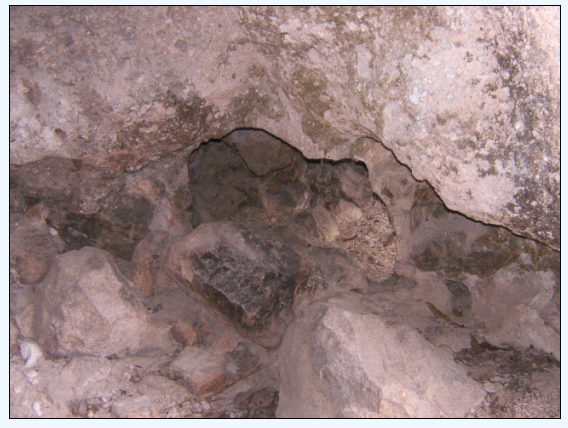 驴行天下吃农家乐爆光