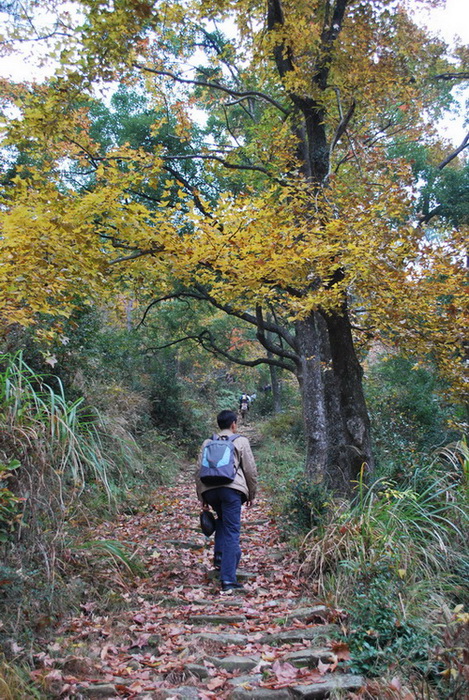天台驴友俱乐部之---片片枫叶情