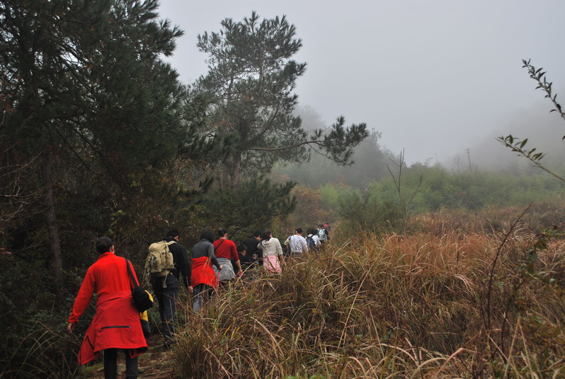 天台驴友俱乐部之---片片枫叶情