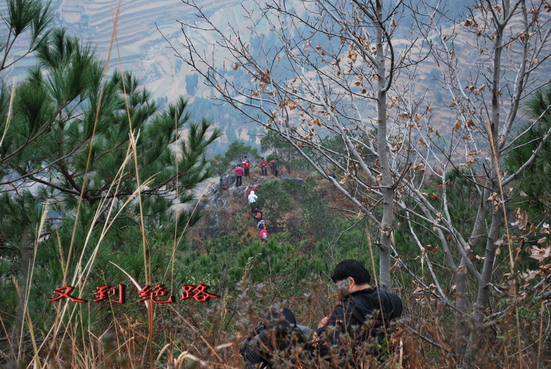 天台驴友俱乐部之---片片枫叶情