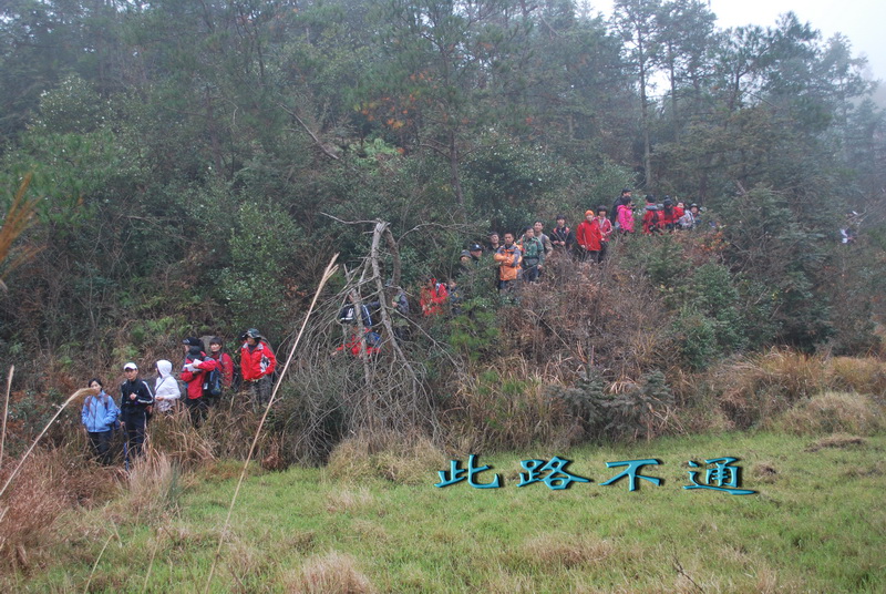 天台驴友俱乐部之---片片枫叶情