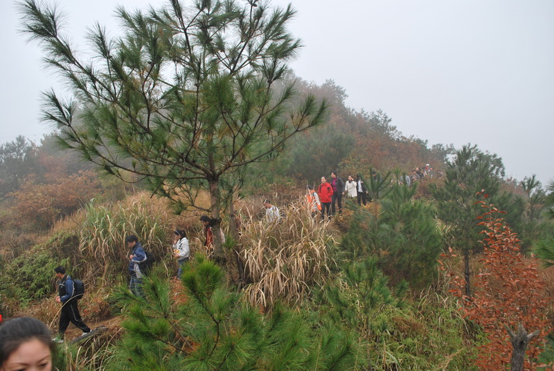 天台驴友俱乐部之---片片枫叶情