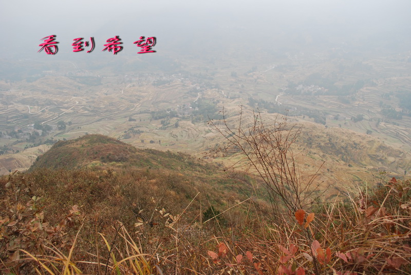 天台驴友俱乐部之---片片枫叶情