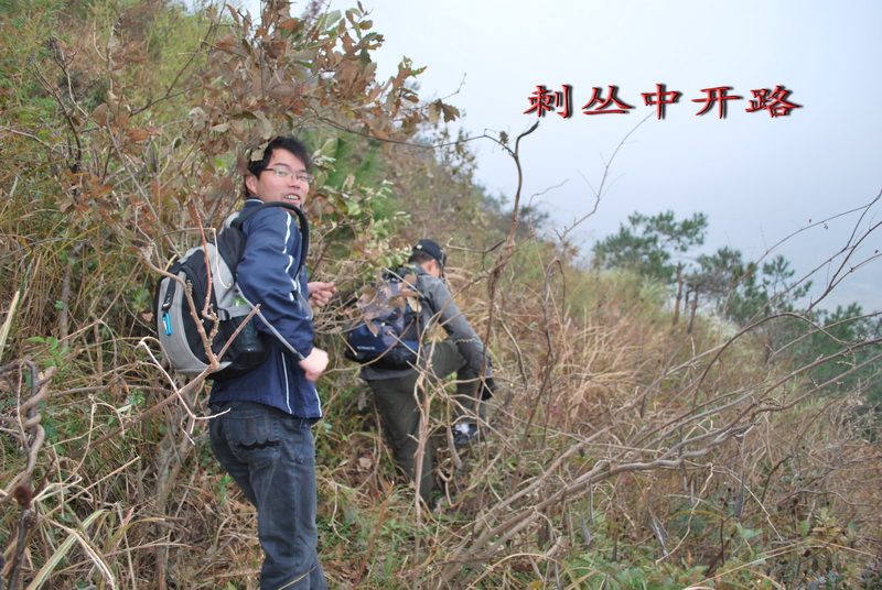 天台驴友俱乐部之---片片枫叶情