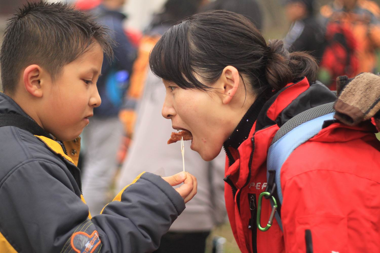 天台驴友俱乐部之---片片枫叶情