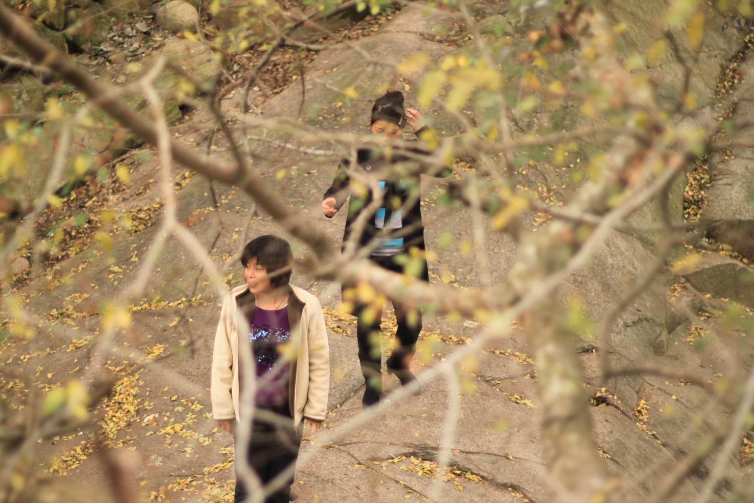 天台驴友俱乐部之---片片枫叶情