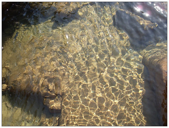 091206白水溪上游行